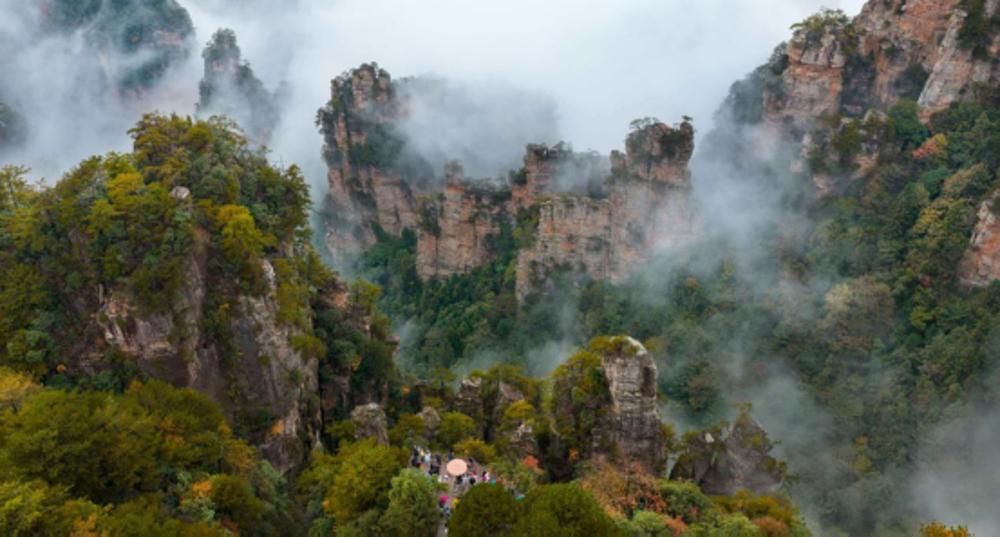 杨家界：峰墙云海织就秘境，地质奇观引游人沉醉